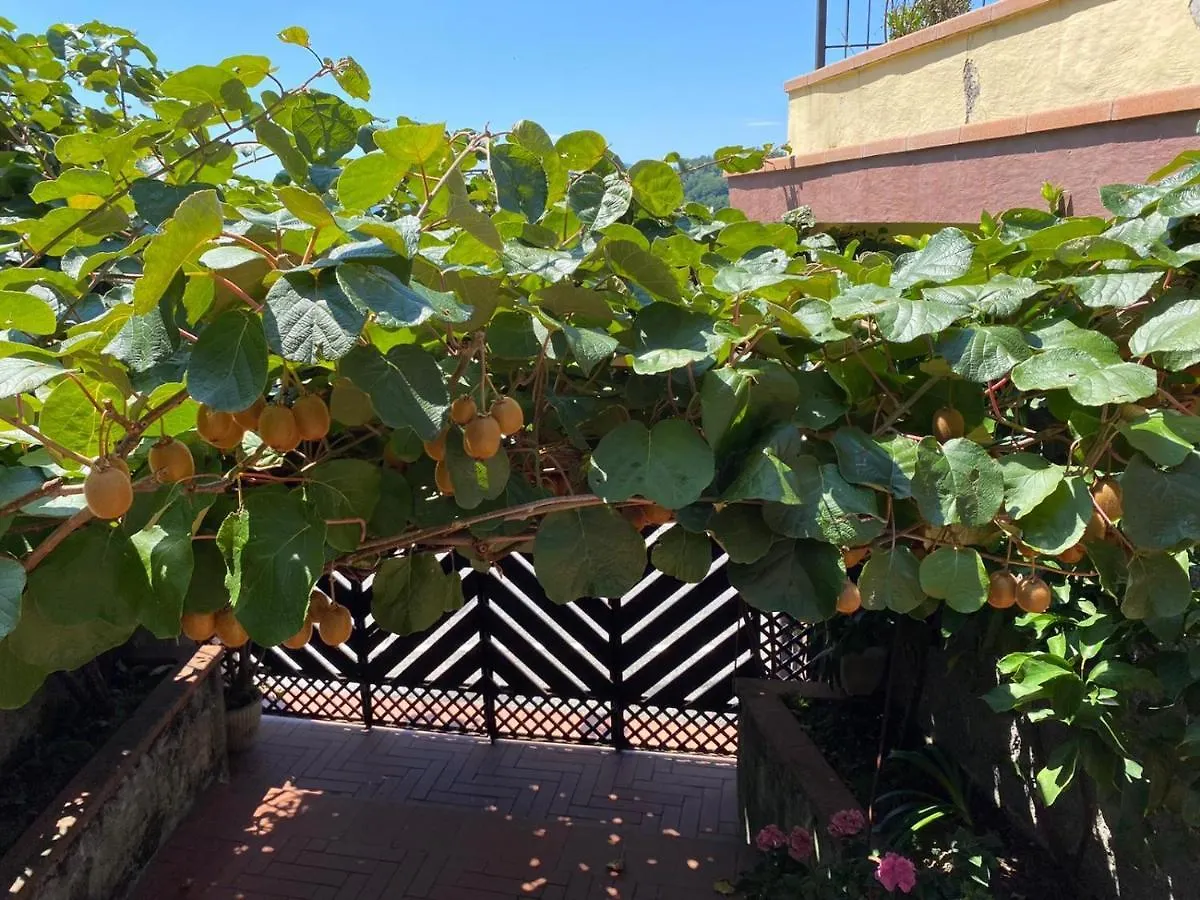 Guest house Collimare Rooms & Sailing Near 5 Terre Vezzano Ligure Italy